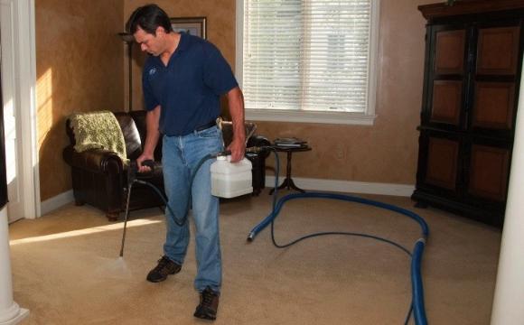 Ковролин почистить дома
