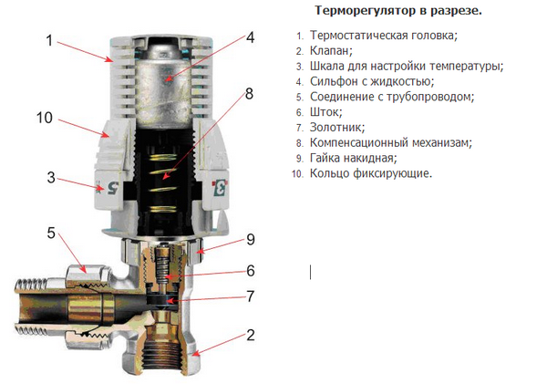 Термоголовка в разрезе