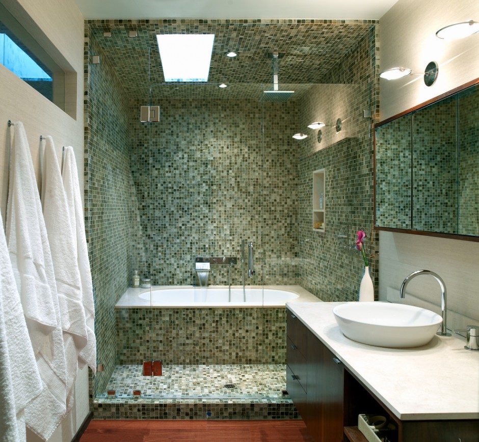 Contemporary-Bathroom (1)